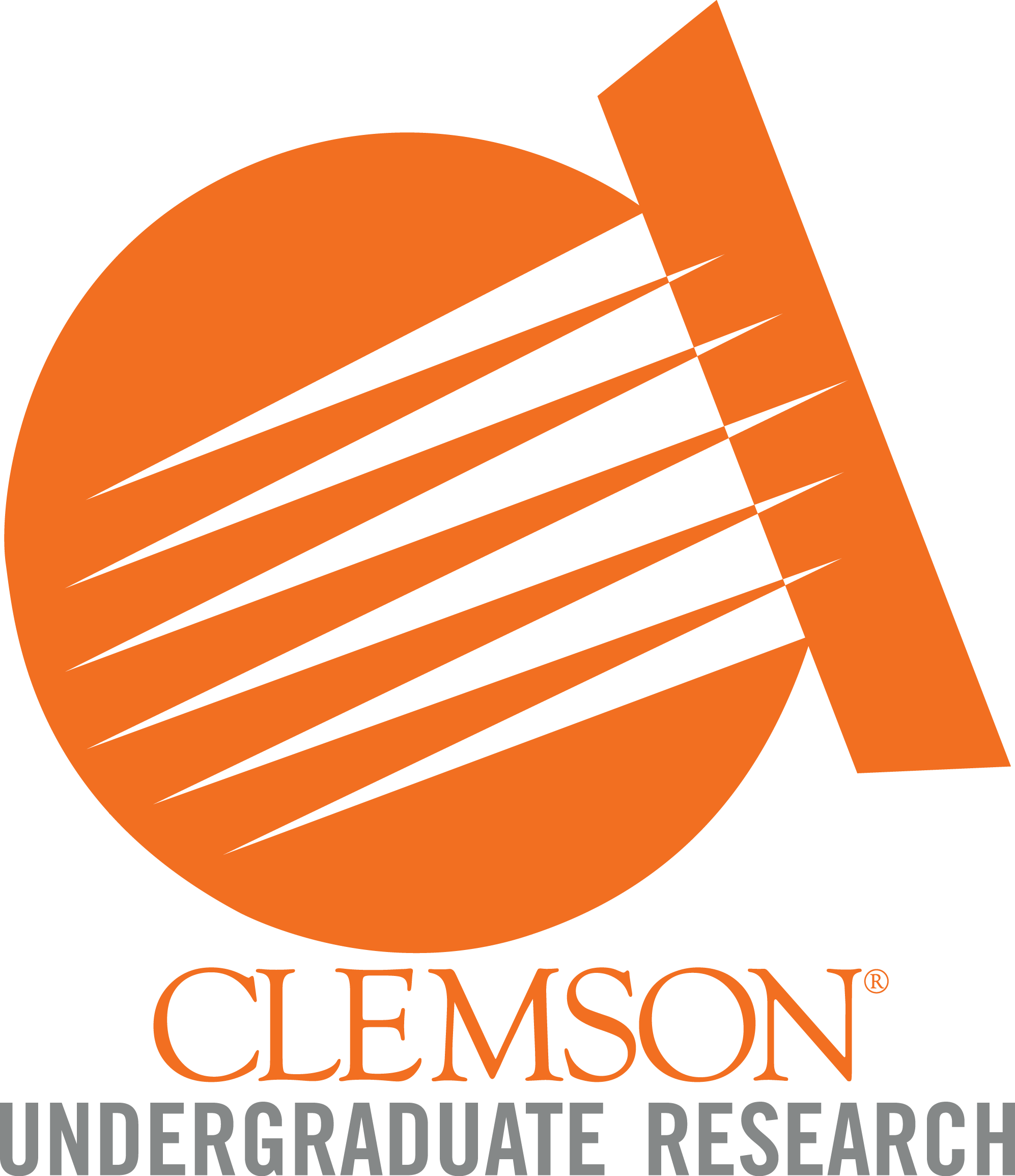 Clemson Creative Inquiry program encourages undergraduate students to join with faculty to engage in research opportunities