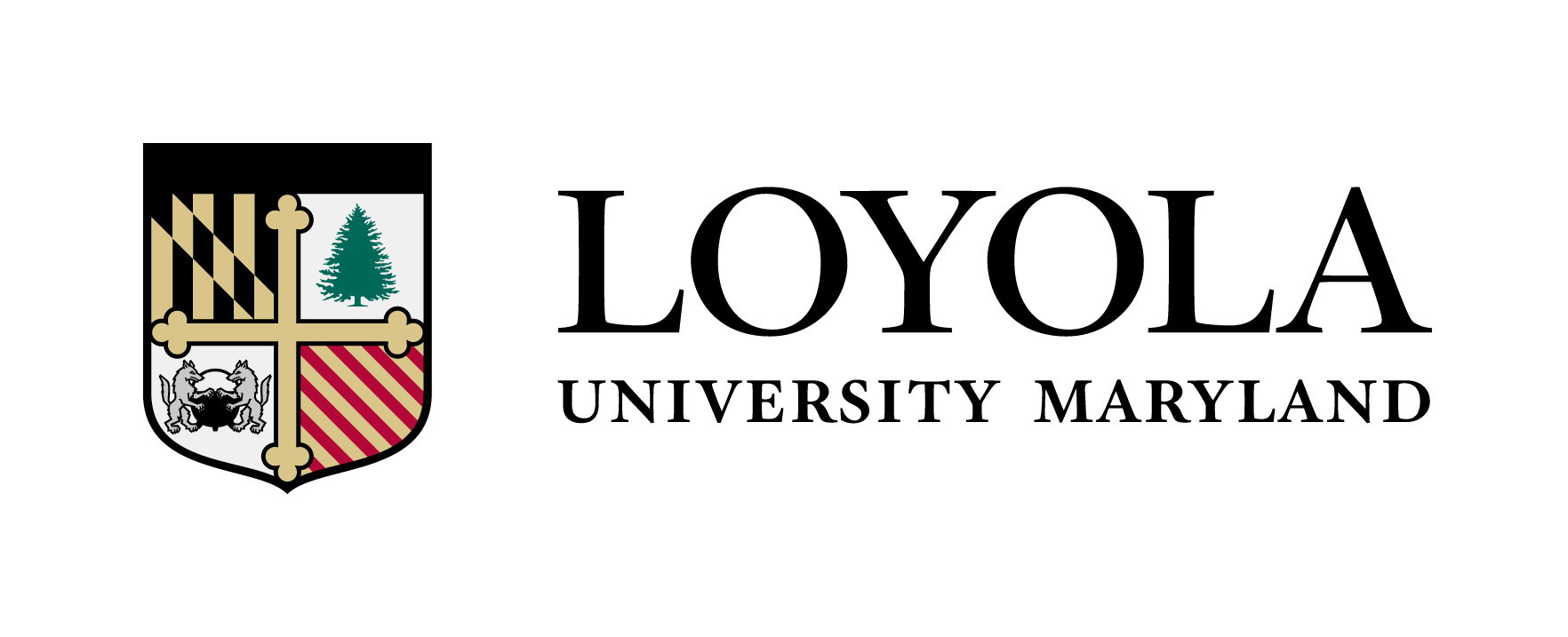 SchoolLoyola University Maryland University Innovation Fellows