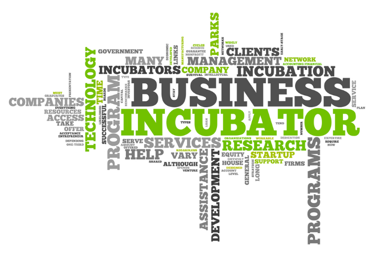 Business Incubator - Word Collage.jpg