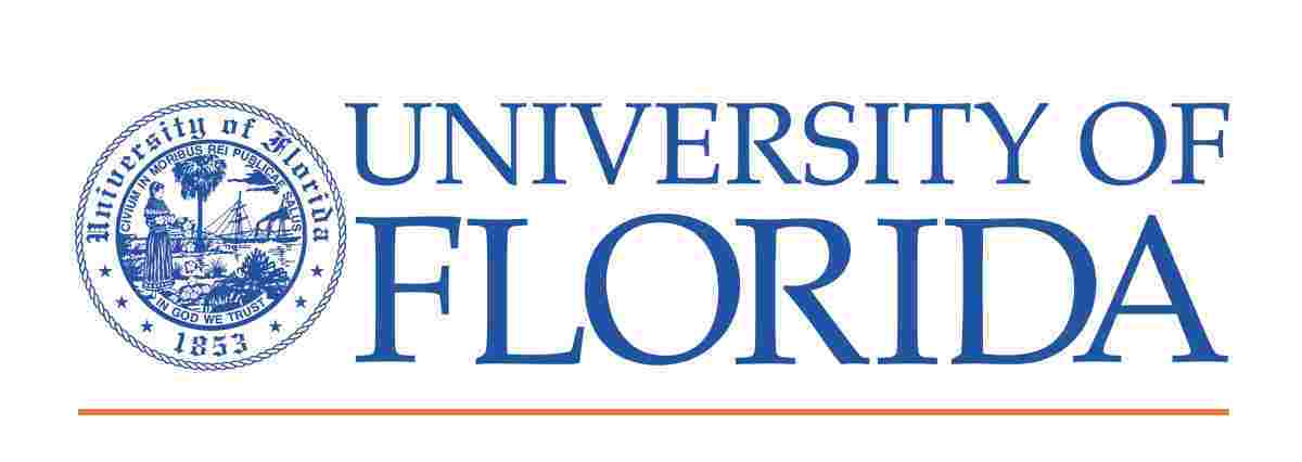 School University Of Florida University Innovation Fellows