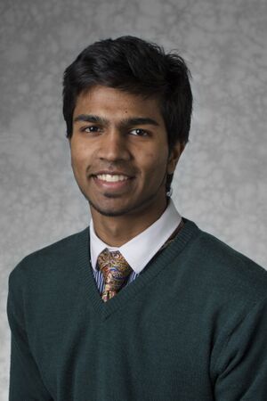 Composite Photo Nikhil Watsa.jpg