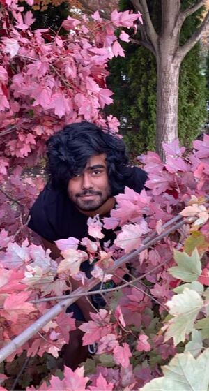 Aatish in the leaves.jpg